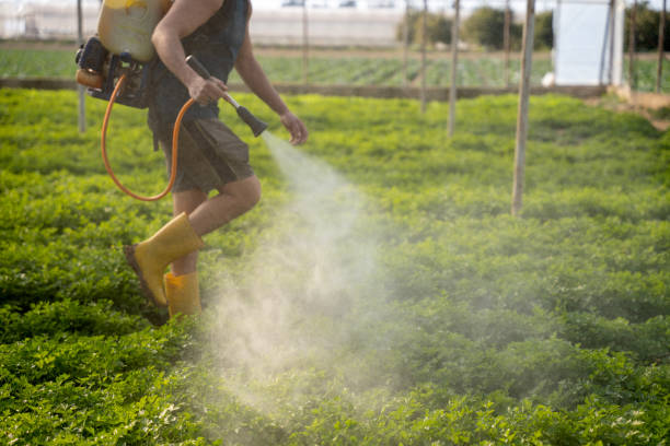Best Insect Control  in Stockton, KS
