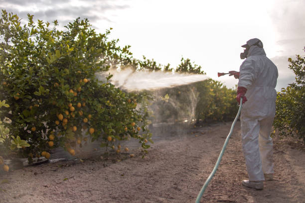 Wildlife Control Services in Stockton, KS