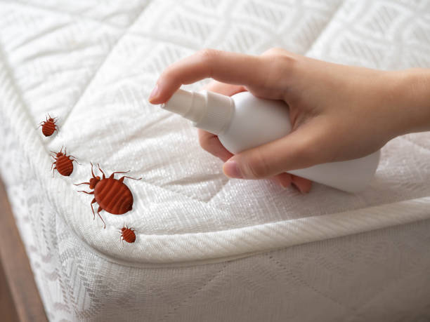 Best Pest Control Near Me  in Stockton, KS